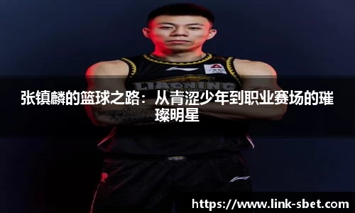 张镇麟的篮球之路：从青涩少年到职业赛场的璀璨明星